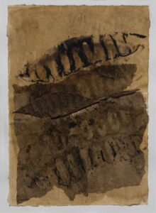 Ariane BOSQUET "Cicatrices"